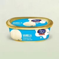 Dairy Day Vanilla Tub