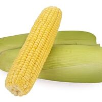 Fresh Sweet Corn - American, 2 Pieces Pack