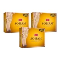 HEM Soham Sambrani Dhoop Cups for Pooja (with Burning Plate) Pack of 3 (36 Cups) | Resin Fragrance | Dhup Puja Samagri | Sambrani Dhoopam | Pooja Room Items for Home