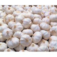 Health benefits garlic in fresh vegetables garlic fresh Garlic kernel (398 gm)