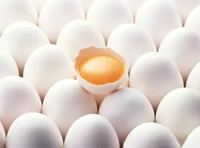 Vijay White Eggs