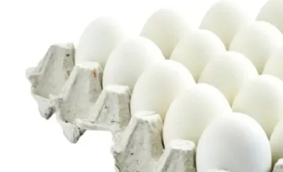 Vijay White Eggs
